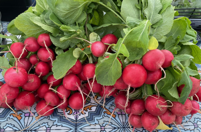 Radishes