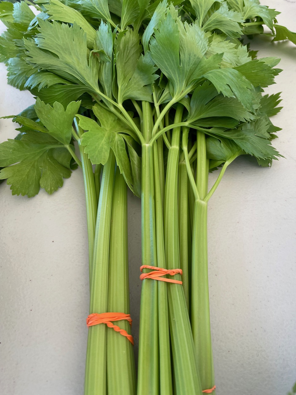 Celery