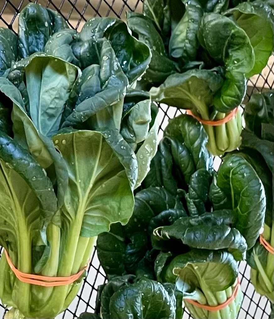 Asian Greens