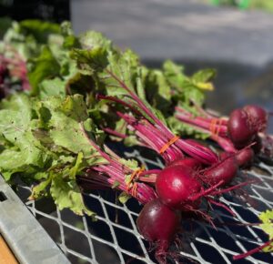 Beets