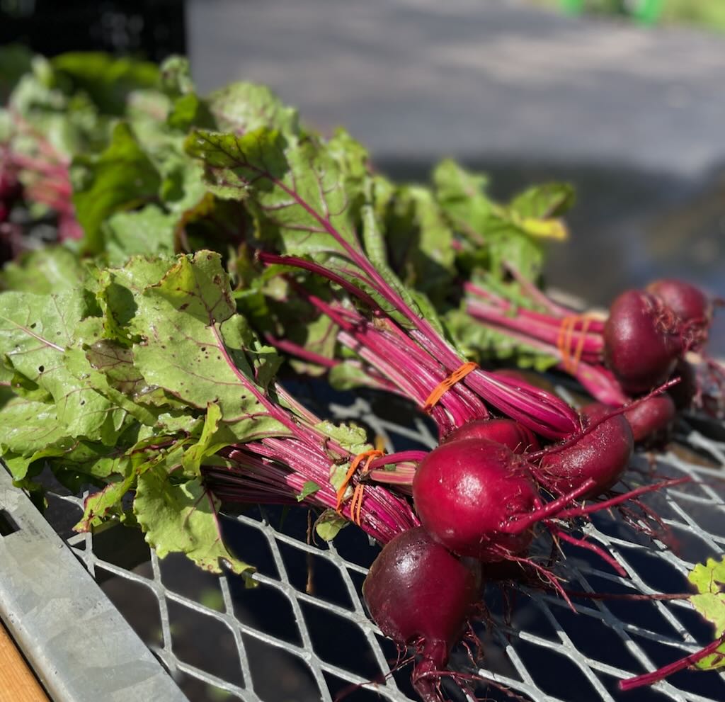 Beets