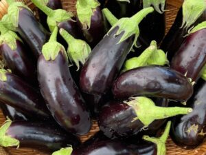 Eggplant