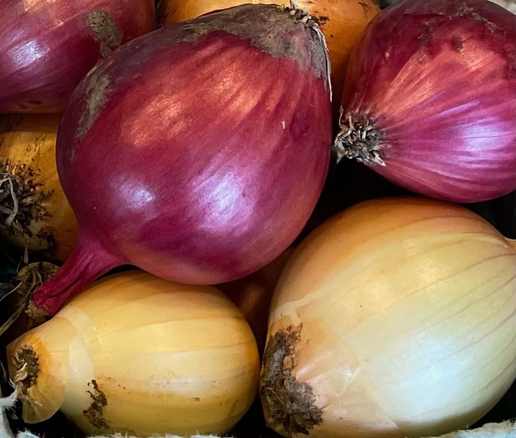 Onions