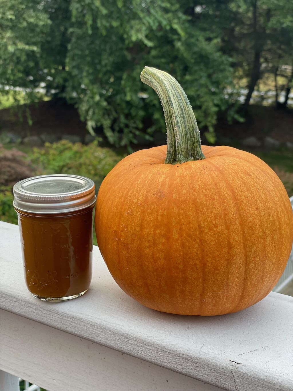 Pumpkin