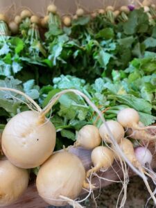 Turnips