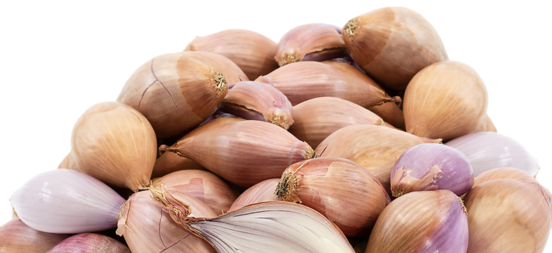 Shallots